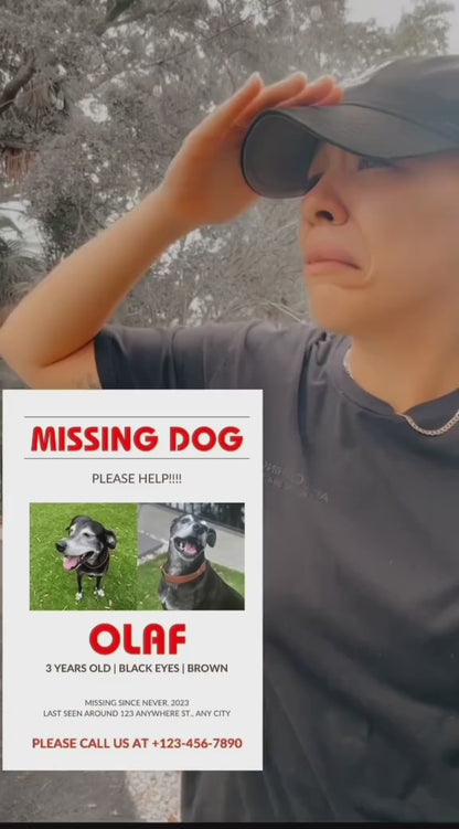 New Removable Locating Pet Collar AirTag Collar Anti-Lost Dog Tracker Protective Case Dog Collar Outdoors Walking Pet Supplies